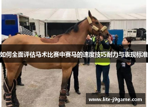如何全面评估马术比赛中赛马的速度技巧耐力与表现标准