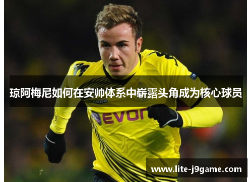 琼阿梅尼如何在安帅体系中崭露头角成为核心球员